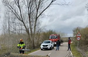 Aviso amarillo por viento en la Meseta de Zamora con rachas de hasta 70 km/h