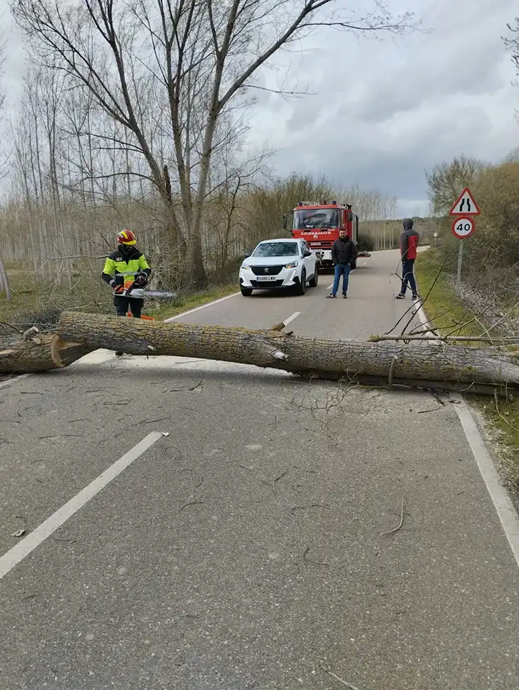 Aviso amarillo por viento en la Meseta de Zamora con rachas de hasta 70 km/h 1 Aviso amarillo por viento en la Meseta de Zamora con rachas de hasta 70 km/h
