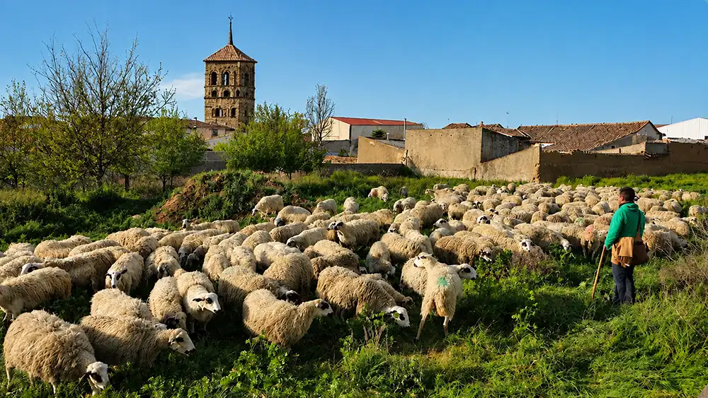 Cuando llegó el silencio: la desaparición del monasterio y el nacimiento de una nueva Tábara 7