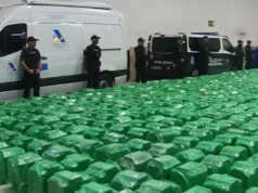 España decomisó 370 toneladas de drogas en 2025 en una operación contra el narcotráfico que mantiene la presión sobre las mafias