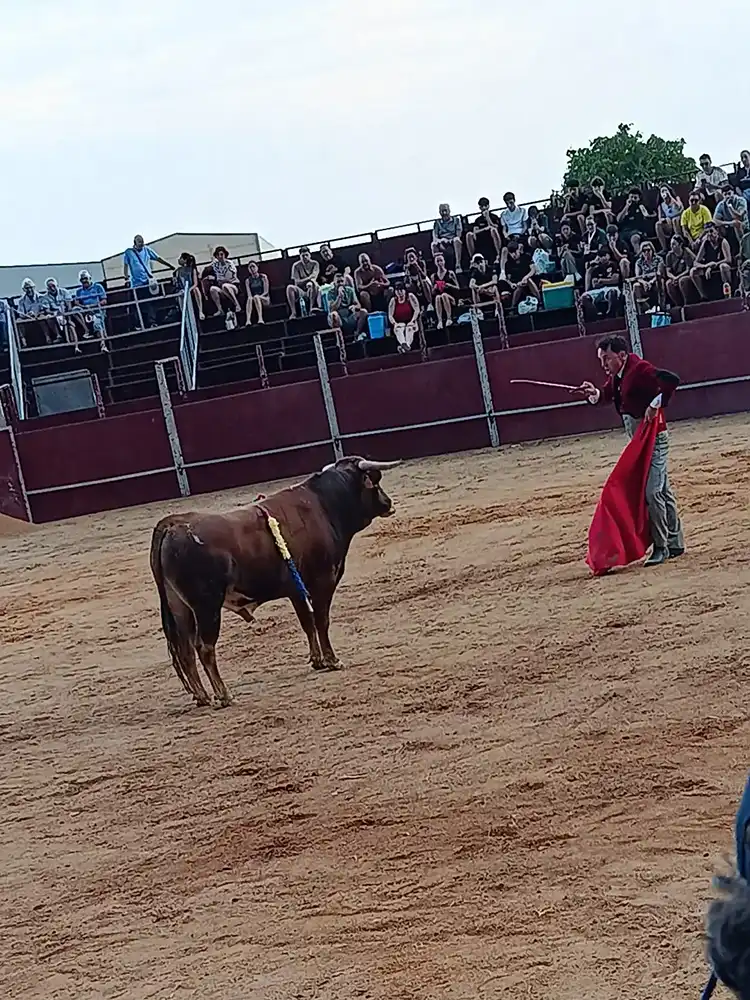 Rectificación: Alfredo Ríos ‘El Conde’ conquista Tábara con dos orejas en una tarde de entrega y emoción taurina 8