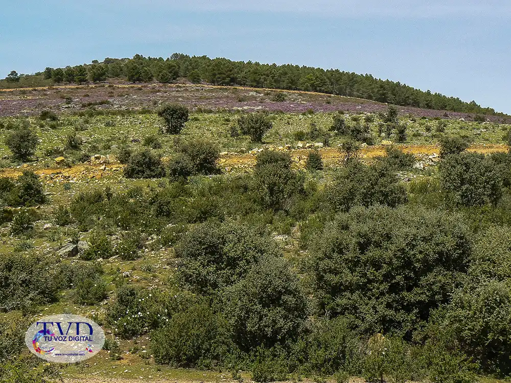 Tábara antes de ser Tábara: una tierra entre caminos, fronteras y memoria 2
