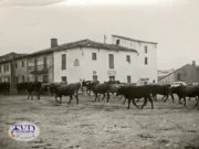 Tábara antes de ser Tábara: una tierra entre caminos, fronteras y memoria