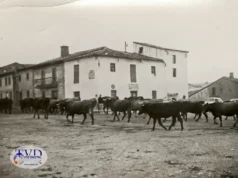 Tábara antes de ser Tábara: una tierra entre caminos, fronteras y memoria