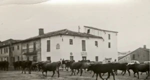 Tábara antes de ser Tábara: una tierra entre caminos, fronteras y memoria