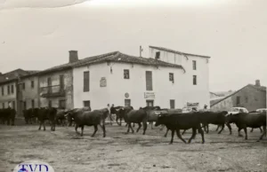 Tábara antes de ser Tábara: una tierra entre caminos, fronteras y memoria