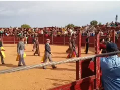 Javier Herrero brilla en una tarde de toros, emoción y entrega en la Plaza de Tábara
