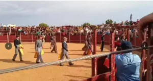 Javier Herrero brilla en una tarde de toros, emoción y entrega en la Plaza de Tábara