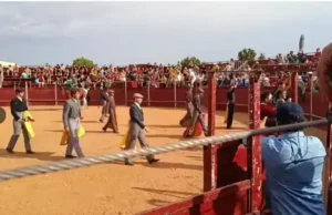 Javier Herrero brilla en una tarde de toros, emoción y entrega en la Plaza de Tábara