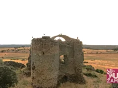 UPL exige a la Junta actuar de urgencia para salvar el castillo del Asmesnal, en Alfaraz de Sayago