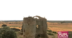 UPL exige a la Junta actuar de urgencia para salvar el castillo del Asmesnal, en Alfaraz de Sayago