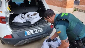 Cuatro investigados por el robo de cable de cobre tras ser interceptados en Villalpando