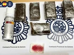 Detenido en Zamora con medio kilo de hachís oculto en el bolsillo de sus bermudas