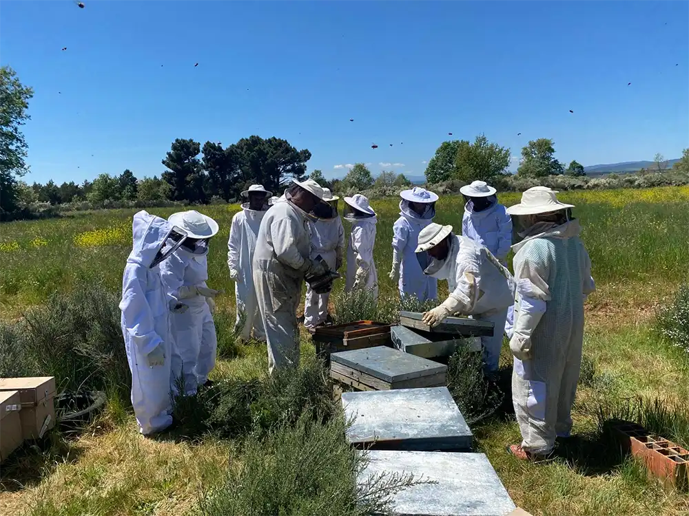 Tábara impulsa el proyecto europeo VIAPIS para potenciar la apicultura y la biodiversidad entre Zamora y Bragança 1 Tábara impulsa el proyecto europeo VIAPIS para potenciar la apicultura y la biodiversidad entre Zamora y Bragança