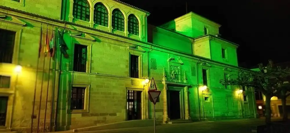 Zamora se ilumina de verde-agua para dar visibilidad al Trastorno del Espectro Alcohólico Fetal 1 Zamora se ilumina de verde-agua para dar visibilidad al Trastorno del Espectro Alcohólico Fetal