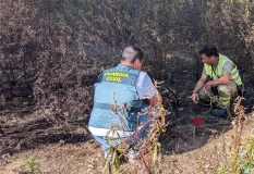 Dos detenidos por los incendios forestales de Cerezal de Aliste y Santa Eufemia del Barco, en Zamora