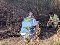 Dos detenidos por los incendios forestales de Cerezal de Aliste y Santa Eufemia del Barco, en Zamora