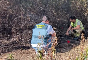 Dos detenidos por los incendios forestales de Cerezal de Aliste y Santa Eufemia del Barco, en Zamora