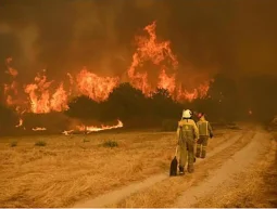 España solicita el Fondo Europeo de Solidaridad por los graves incendios del verano de 2026