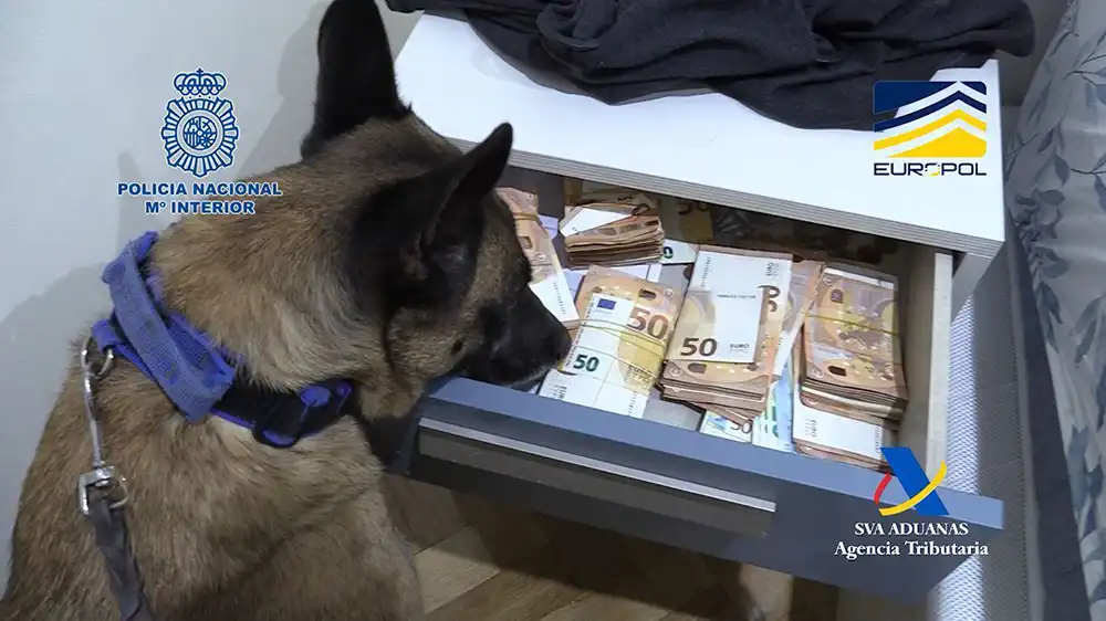 Instituciones Penitenciarias ampliará a 38 las prisiones con unidades caninas para detectar drogas 1 Instituciones Penitenciarias ampliará a 38 las prisiones con unidades caninas para detectar drogas