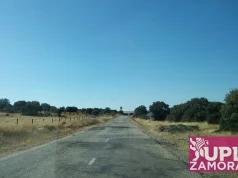 PP y Vox rechazan la propuesta de UPL para reparar la carretera entre Ledesma y Zamora