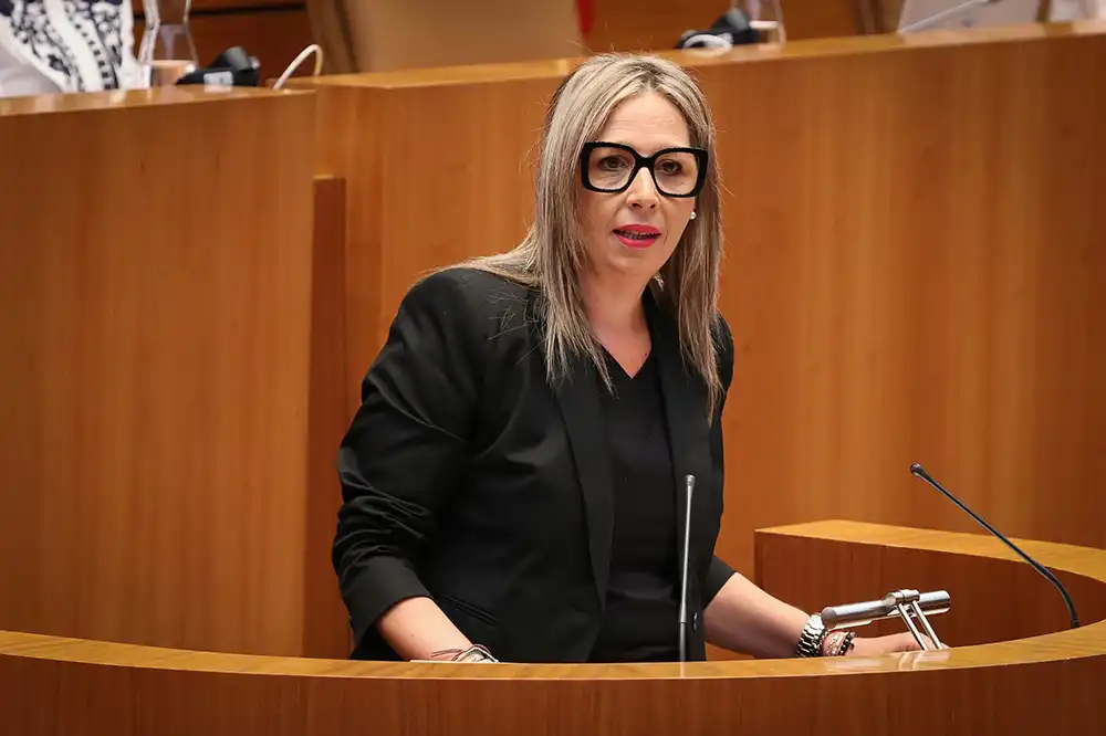 PP y Vox rechazan la propuesta del PSOE para ampliar las ayudas a familias, autónomos y agricultores en Castilla y León 1 PP y Vox rechazan la propuesta del PSOE para ampliar las ayudas a familias, autónomos y agricultores en Castilla y León