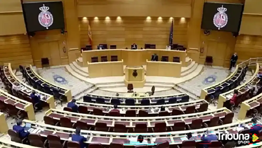 PSOE y Frente Amplio acuerdan una candidatura conjunta al Senado por Zamora bajo el nombre «Senado de Progreso» 1 PSOE y Frente Amplio acuerdan una candidatura conjunta al Senado por Zamora bajo el nombre «Senado de Progreso»