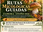 Rabanales invita a descubrir el mundo de las setas con rutas micológicas guiadas durante el otoño