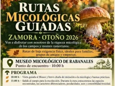 Rabanales invita a descubrir el mundo de las setas con rutas micológicas guiadas durante el otoño