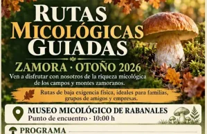 Rabanales invita a descubrir el mundo de las setas con rutas micológicas guiadas durante el otoño