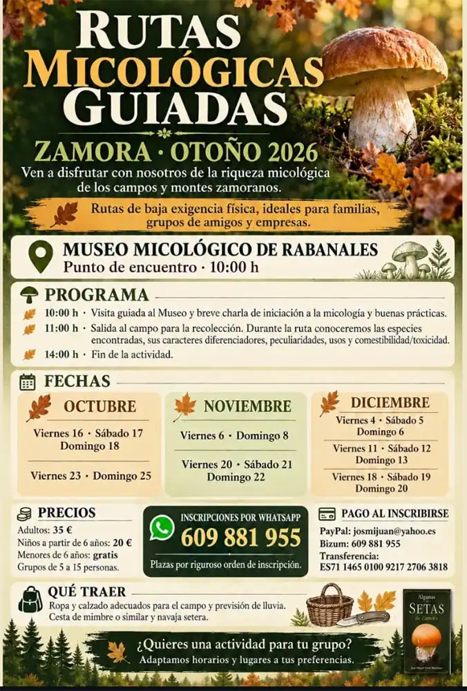 Rabanales invita a descubrir el mundo de las setas con rutas micológicas guiadas durante el otoño 1