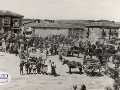 Tábara y sus pueblos: la comarca que conserva una forma de vida entre tradiciones, naturaleza y futuro