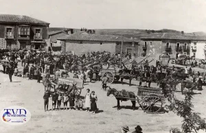 Tábara y sus pueblos: la comarca que conserva una forma de vida entre tradiciones, naturaleza y futuro