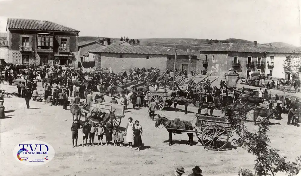 Tábara y sus pueblos: la comarca que conserva una forma de vida entre tradiciones, naturaleza y futuro 15