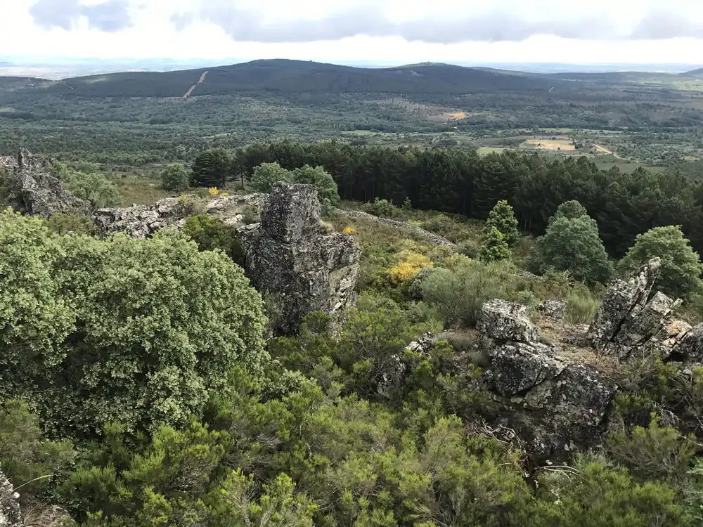 Tábara y sus pueblos: la comarca que conserva una forma de vida entre tradiciones, naturaleza y futuro 8