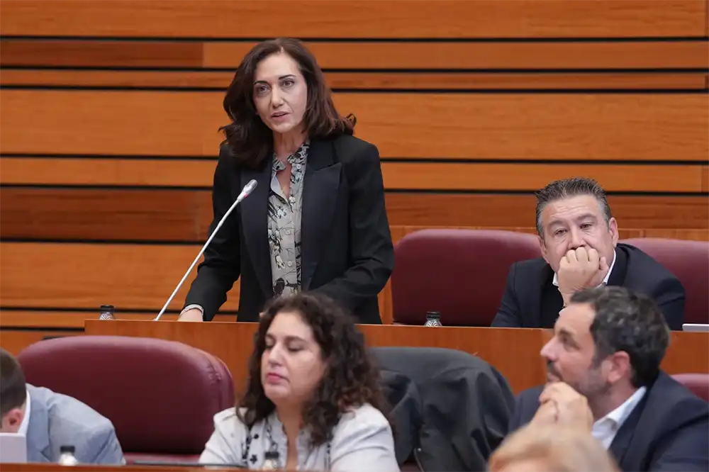 UPL denuncia hasta 20 años de retrasos en proyectos sanitarios de Zamora y exige la Unidad de Ictus 1 UPL denuncia hasta 20 años de retrasos en proyectos sanitarios de Zamora y exige la Unidad de Ictus