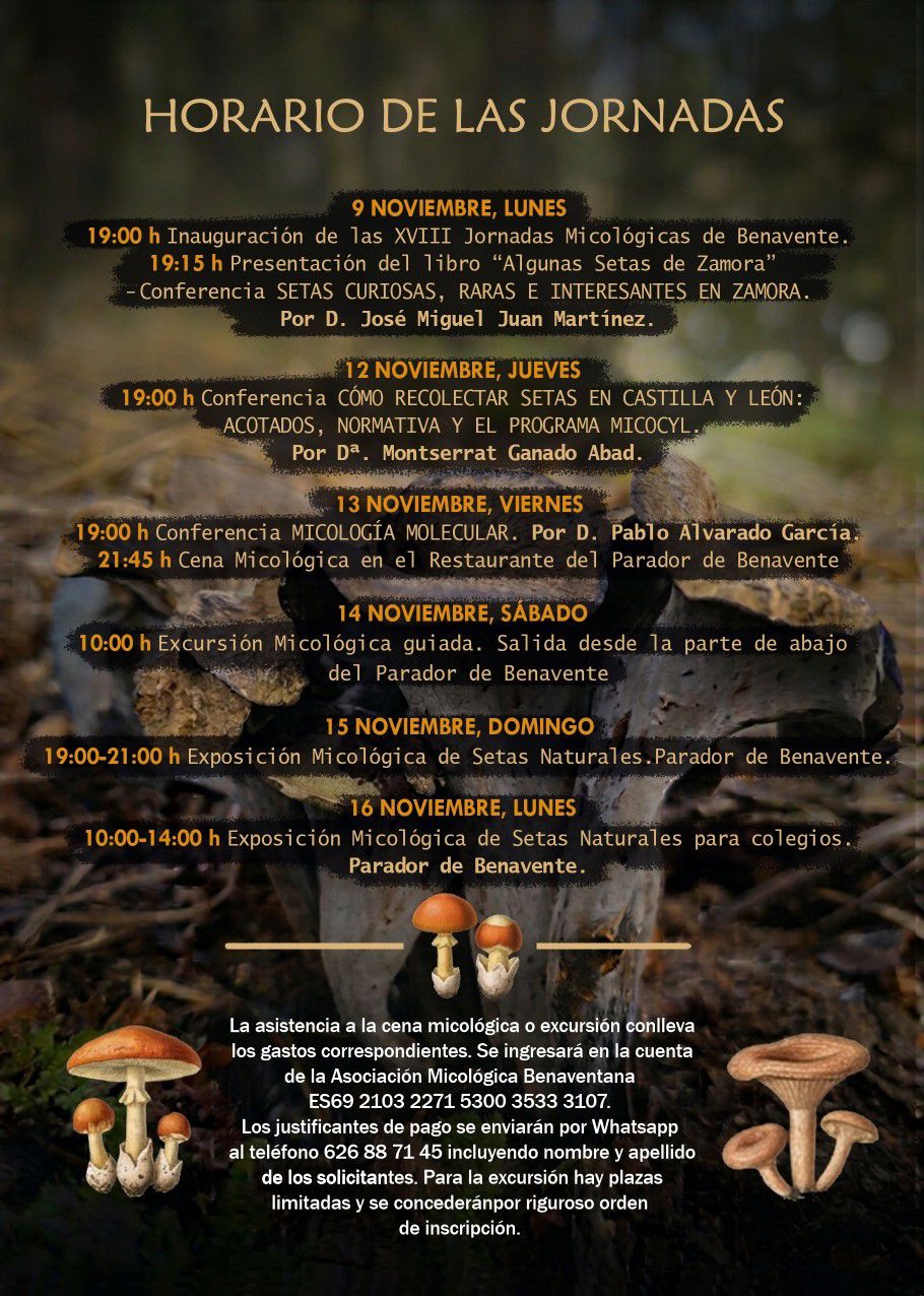 Benavente celebra del 9 al 16 de noviembre sus XIX Jornadas Micológicas con conferencias, excursiones y exposiciones 2